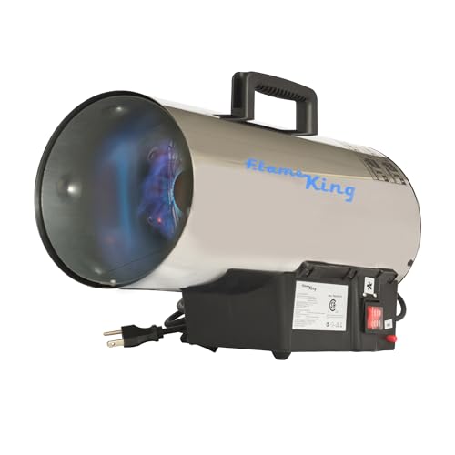 60,000 BTU Portable Propane Forced Air Heater Stainless Steel P3401