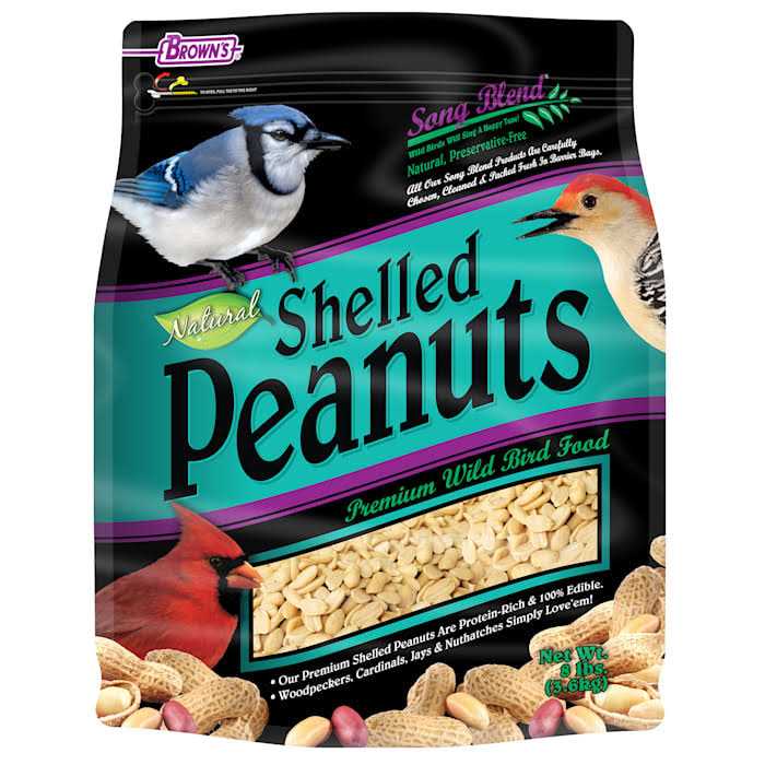 Natural Shelled Peanuts V876132