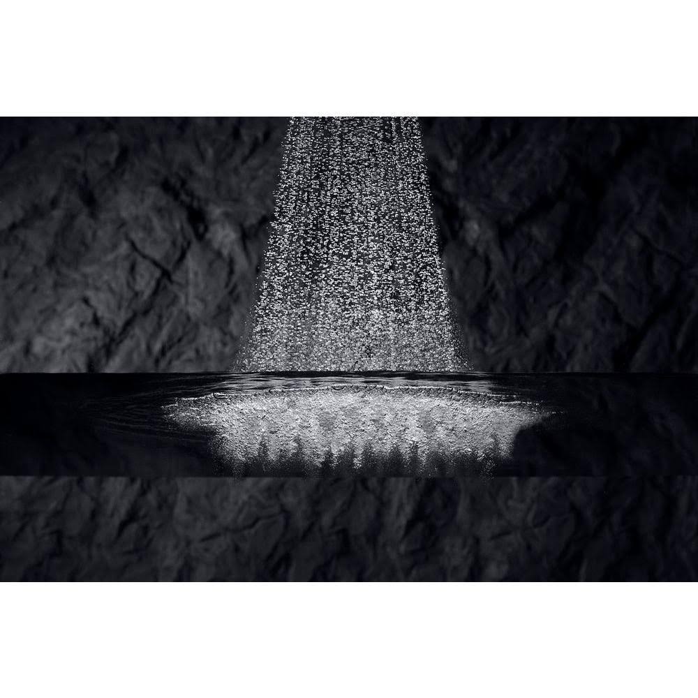 Oil-Rubbed Bronze Multifunction Handshower E631220