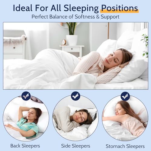 King Size Set of 2 Down Alternative Pillows Z7126