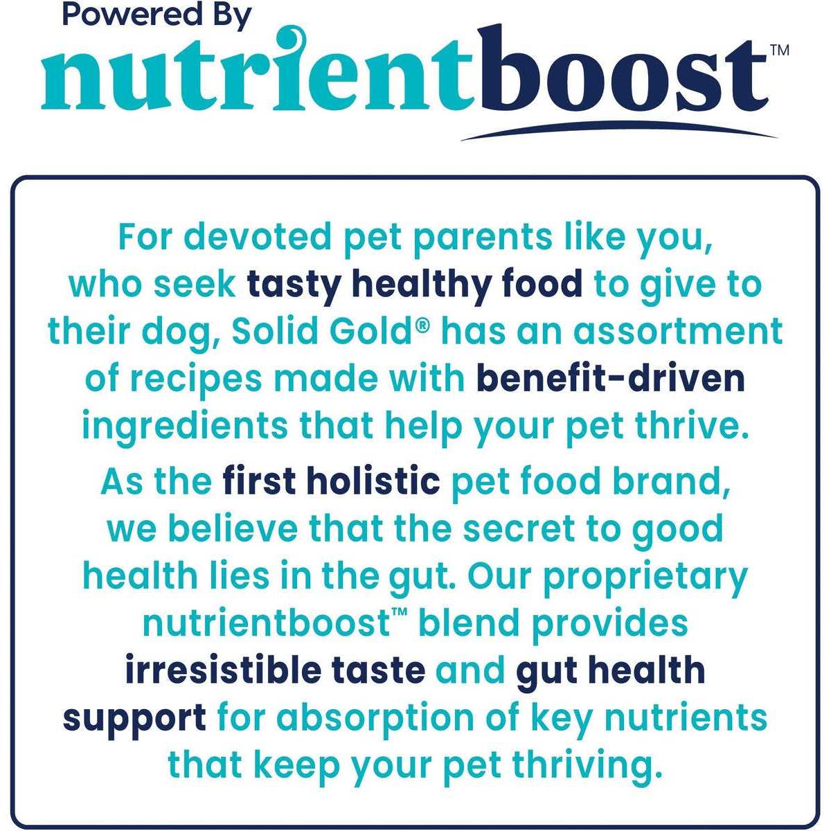 Grain-Free Beef Dry Dog Food Q203912