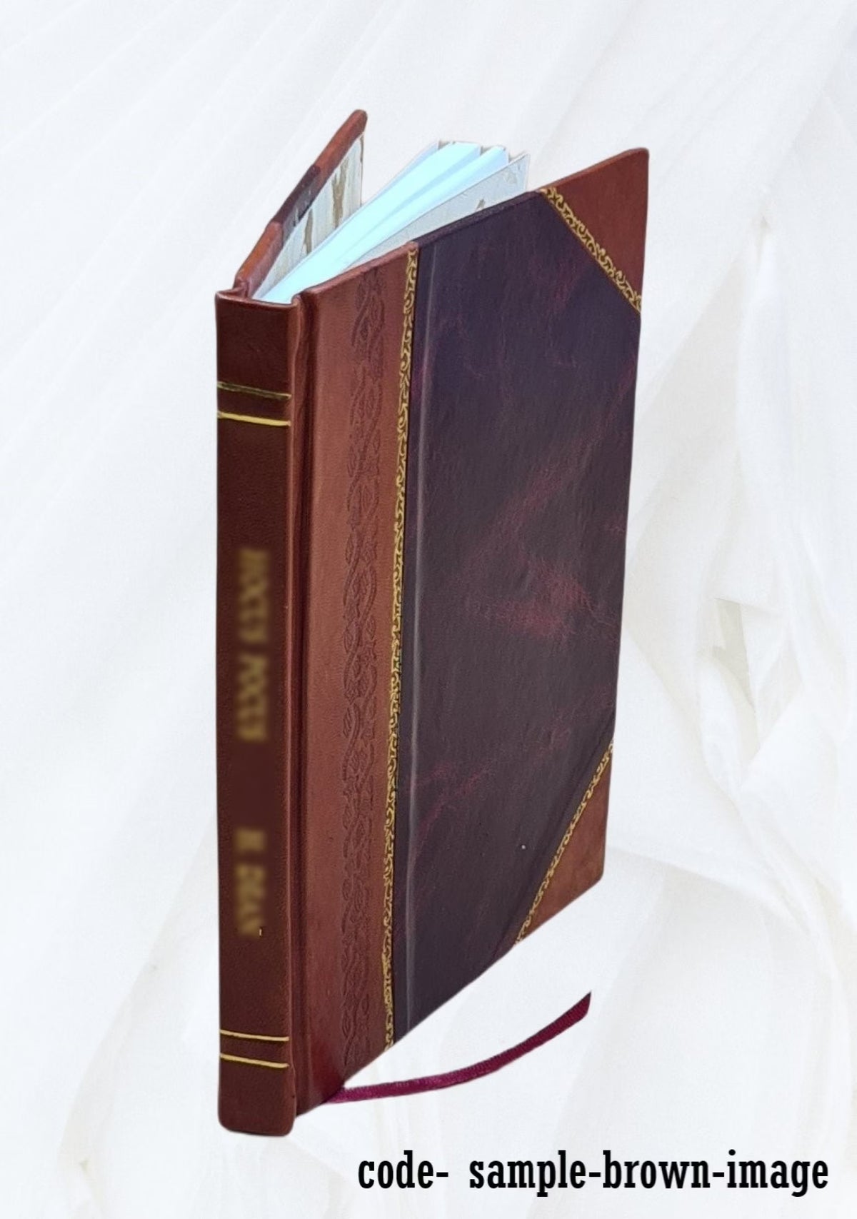 Memoirs of the celebrated Eugene Aram L31343