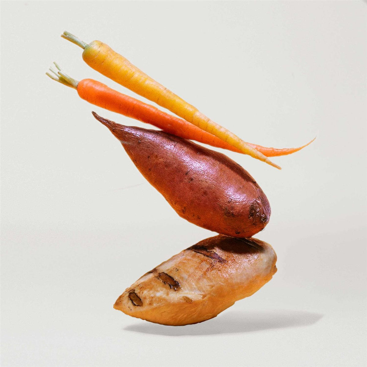Sweet Potato & Carrot Dry Dog Food M73324