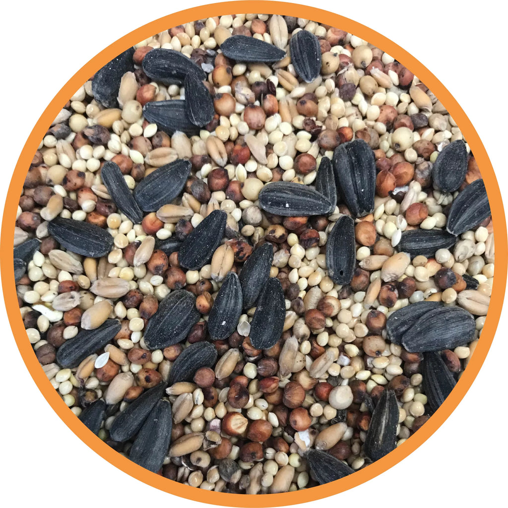 Southwest Blend Wild Bird Food 40 lbs. O989777