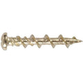 Brass Plated Anchoring Screws 3/16 by 1-1/4 inch 20 Pack A937195