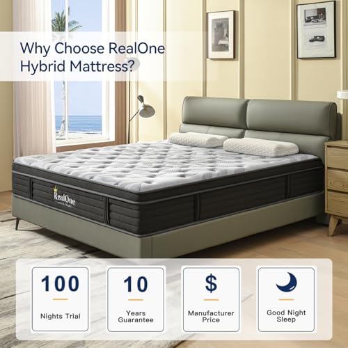Queen 12 Inch Hybrid Mattress in a Box S545110