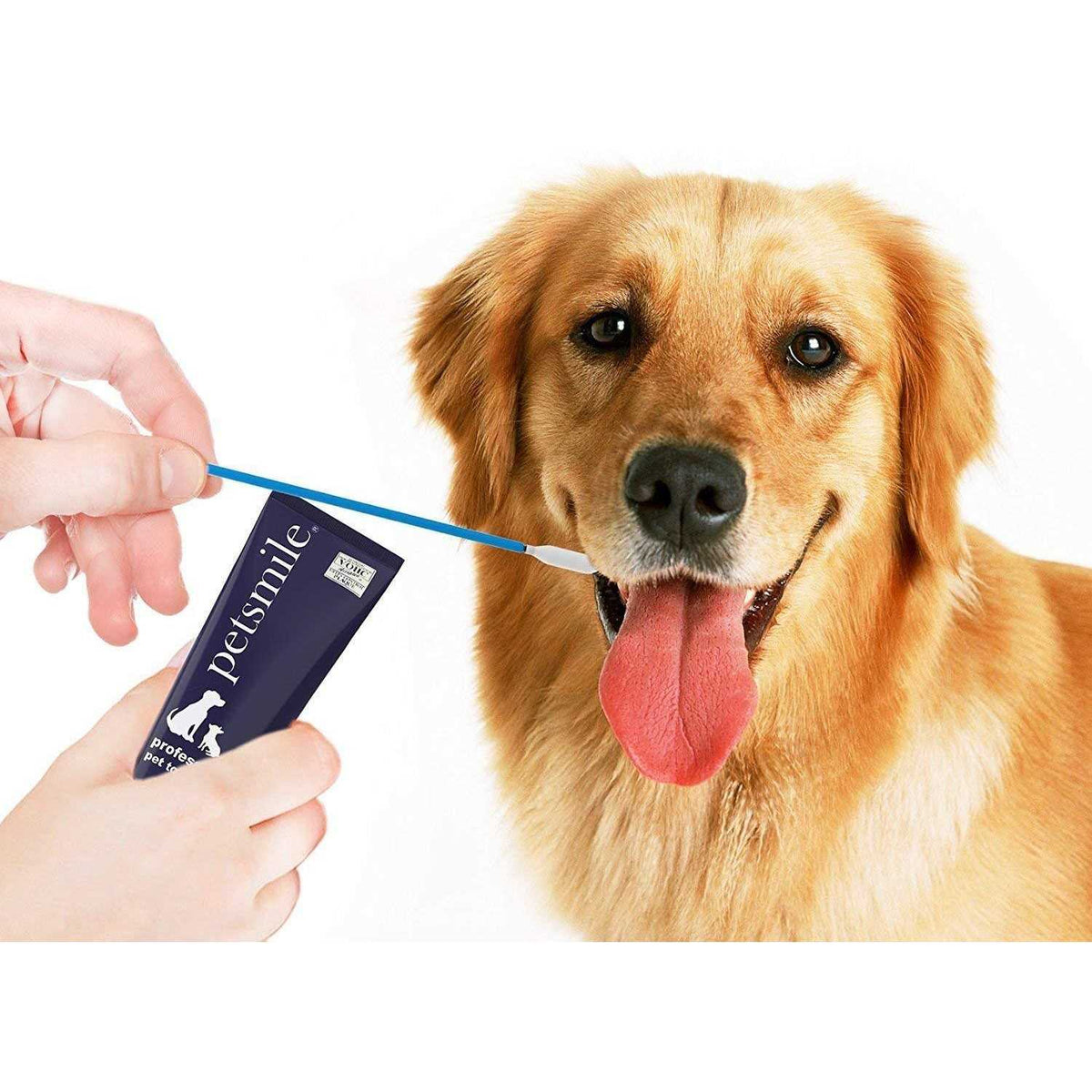 Pet Toothpaste Applicator Swabs Q87046