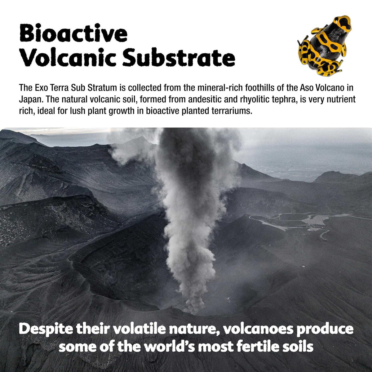 Volcanic Substrate C26583