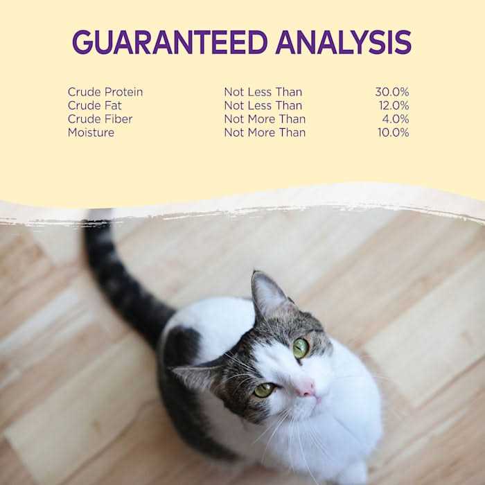 Cat Treats T846