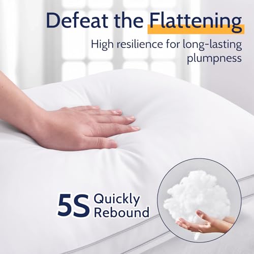 King Size Set of 2 Down Alternative Pillows Z7126