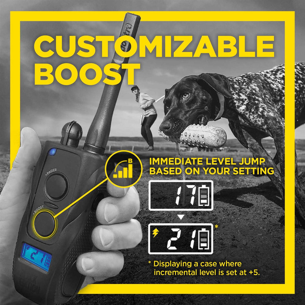 Black 1 Mile Remote Trainer D94702