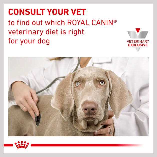 Dry Dog Food N2186