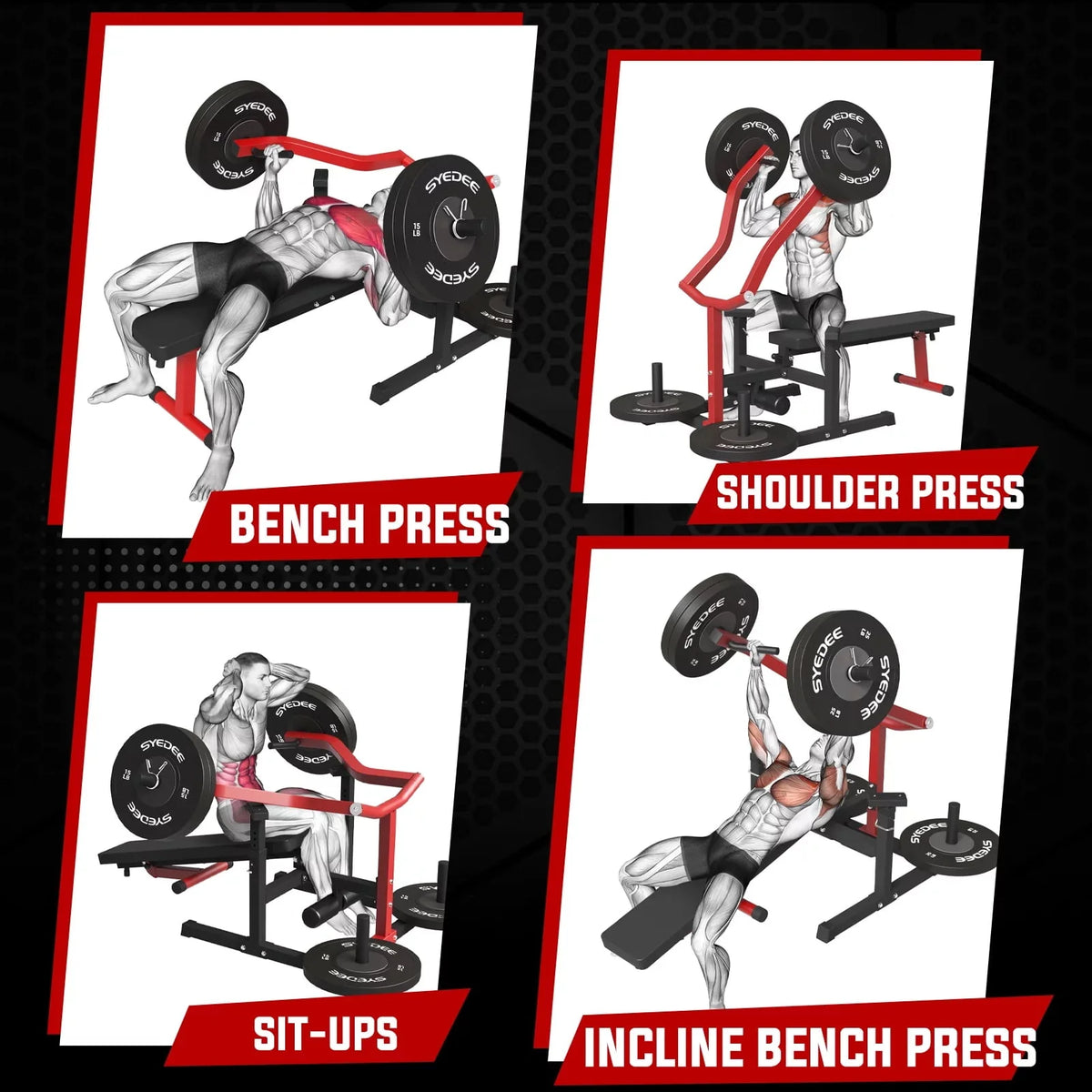 Chest Press Machine with Independent Converging Arms P76545