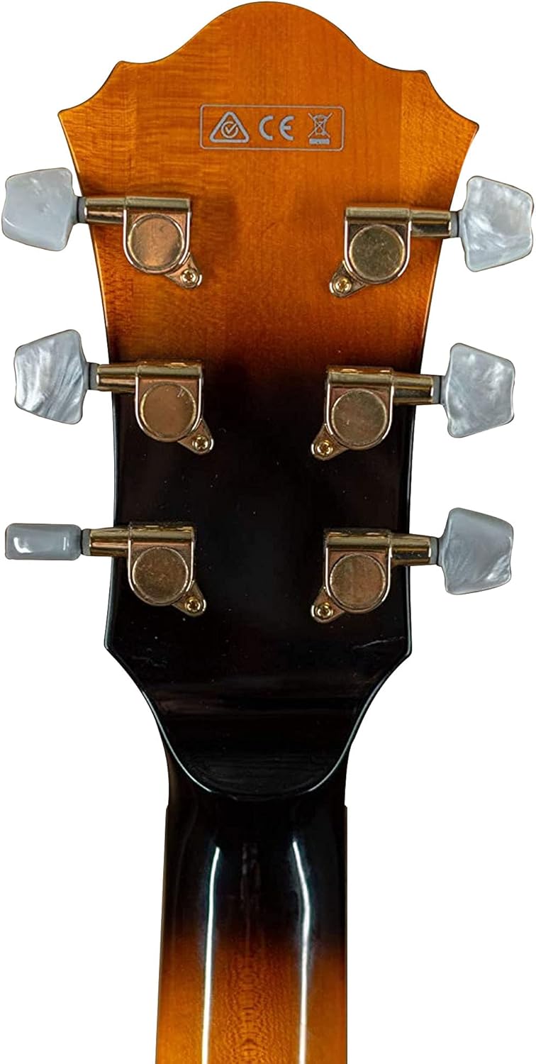 Brown Sunburst 6-String Electric Guitar M791