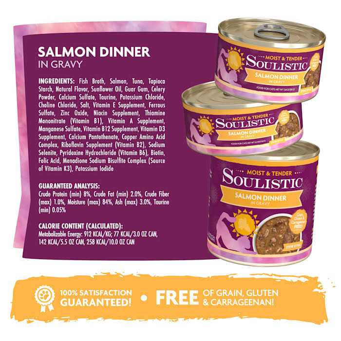 Wet Cat Food Y3264