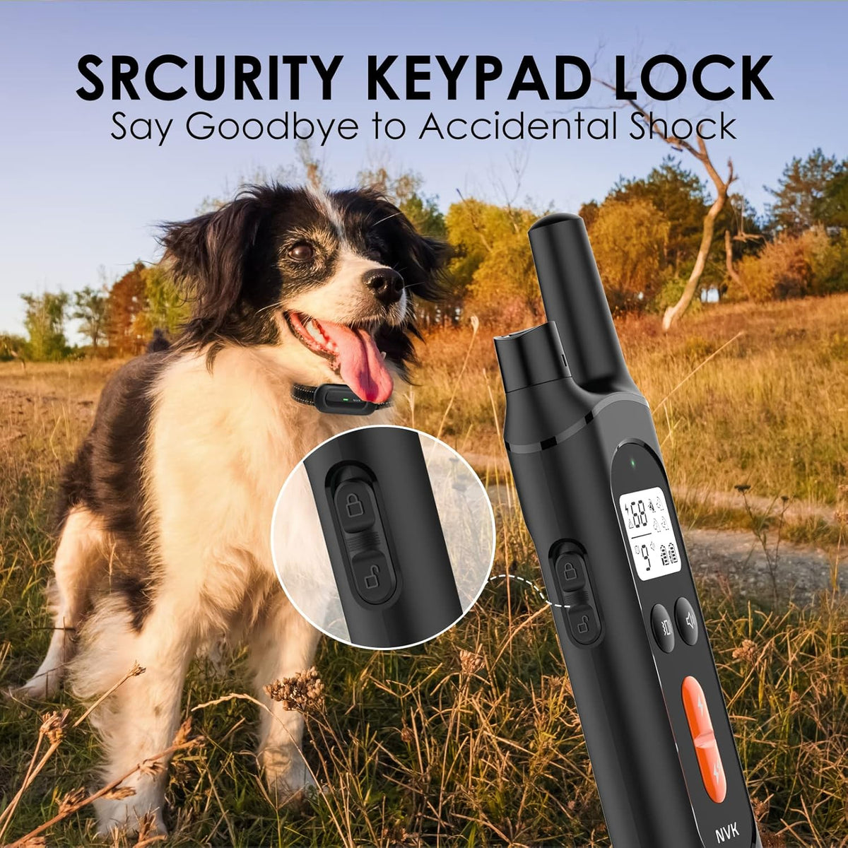 Rechargeable Dog Training Collar with Remote, 3 Modes, Waterproof, Pack of 2 R73197