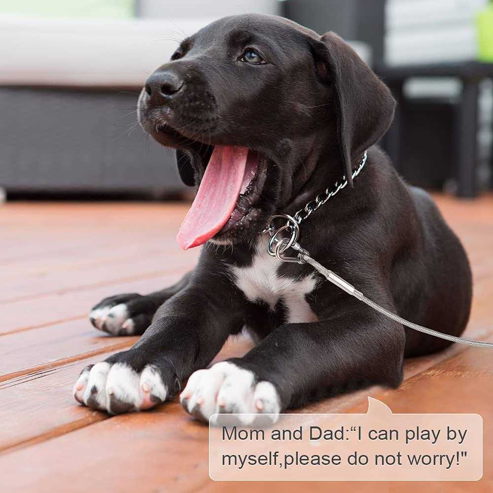 Reflective Dog Tie Out Cable B7894