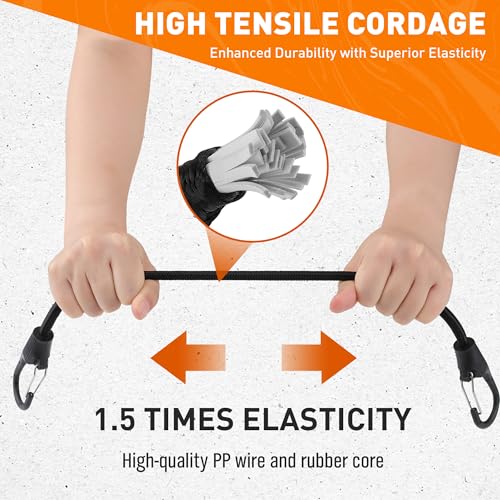 31-Piece Bungee Cords Assortment Z650787