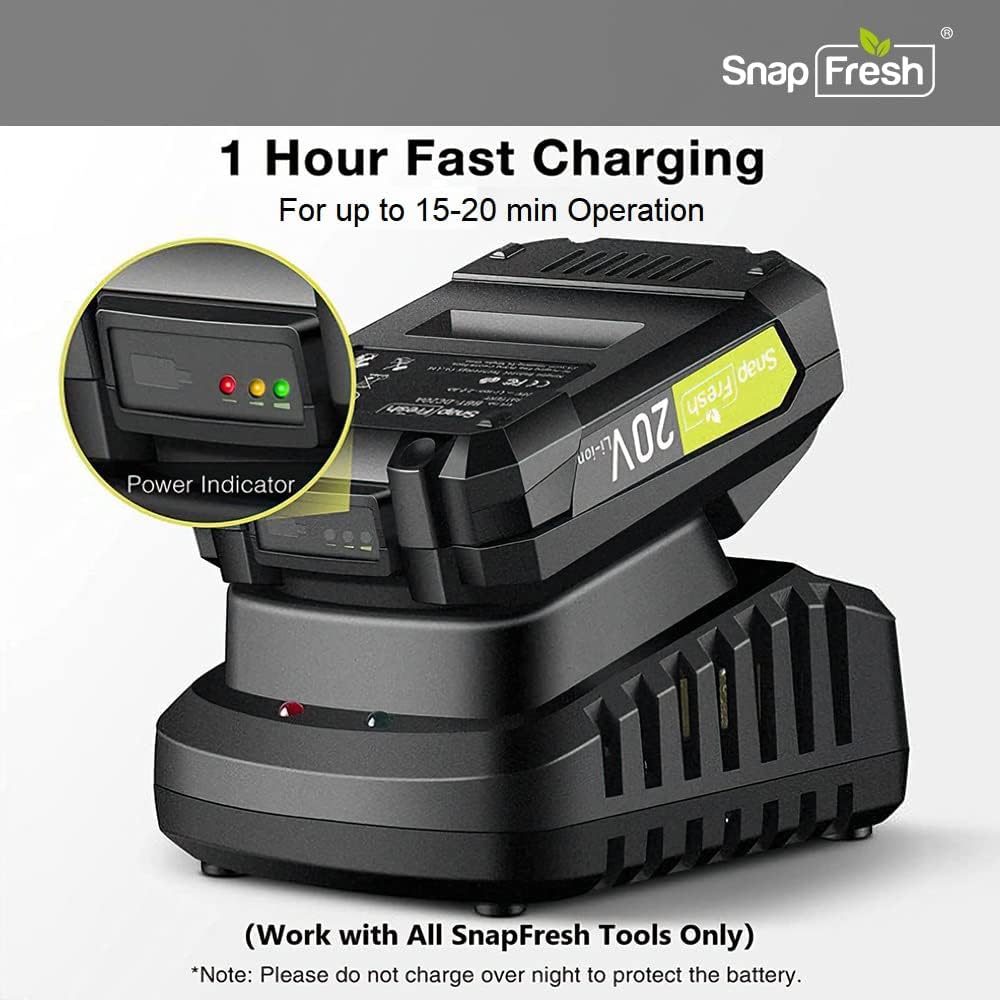 20V Cordless Electric Leaf Blower with Battery & Charger F278