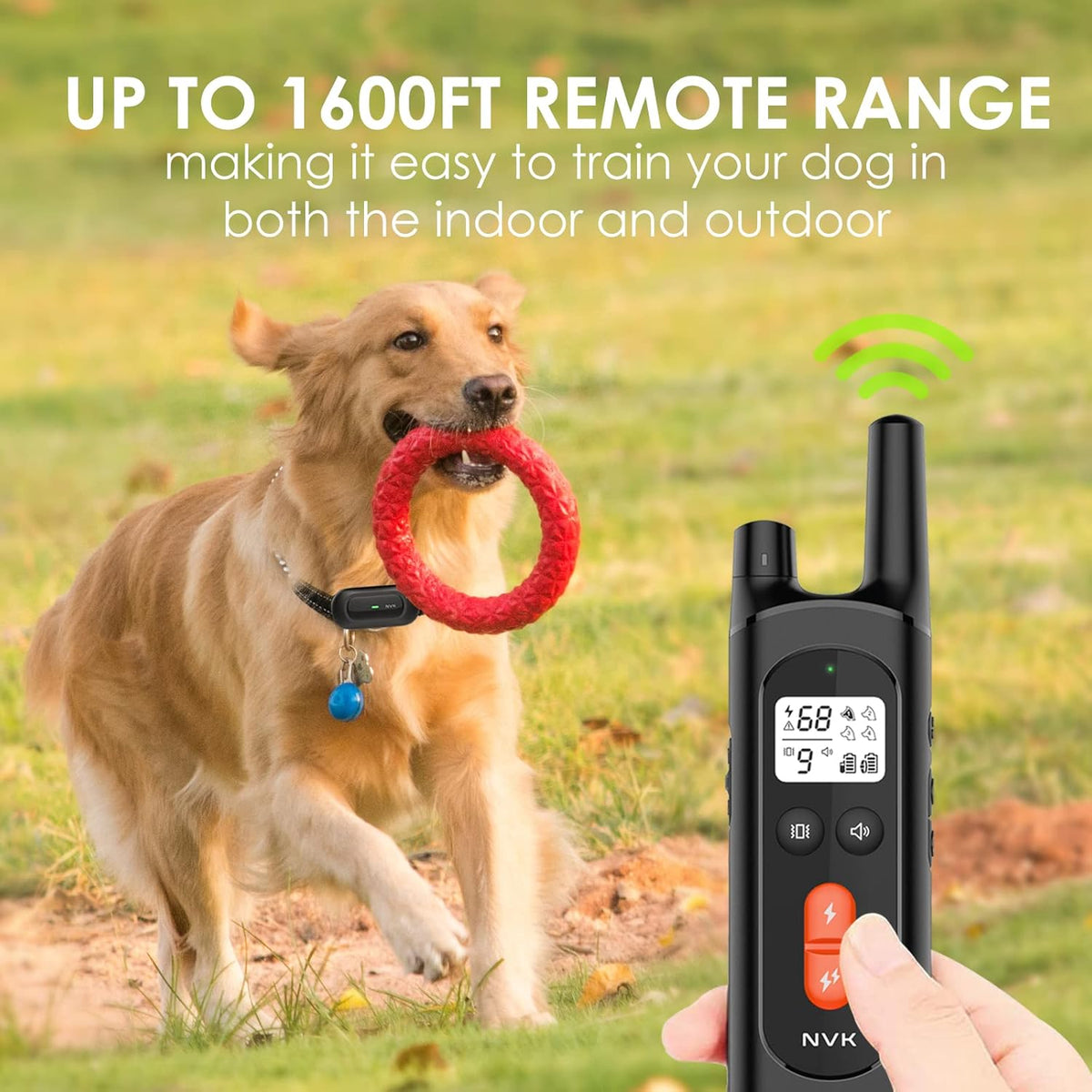 Rechargeable Dog Training Collar with Remote, 3 Modes, Waterproof, Pack of 2 R73197
