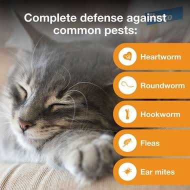 Advantage Multi for Cats L490139