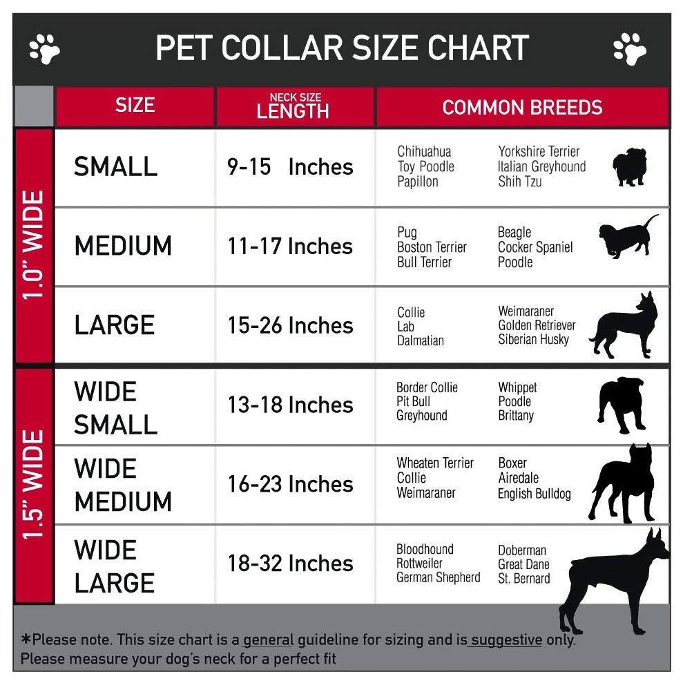 Plastic Clip Collar L68778