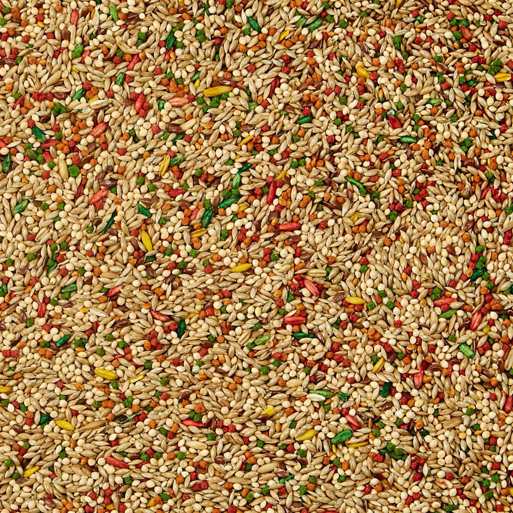 Parakeet Food K393409