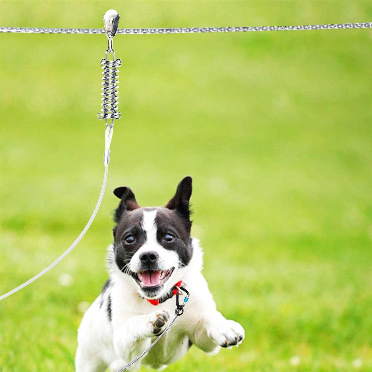 Dog Tie Out Runner with 10ft Pulley Runner Line K64248