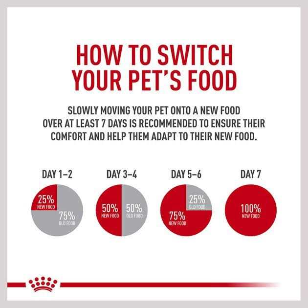 Adult Dry Dog Food Q107