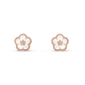 Earrings C9510