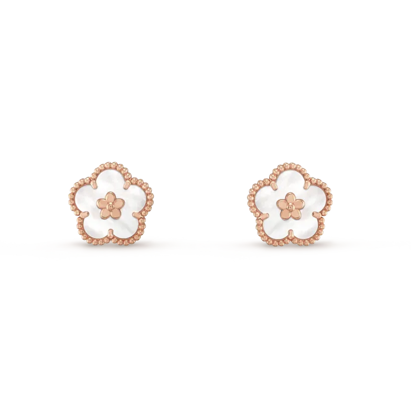 Earrings C9510