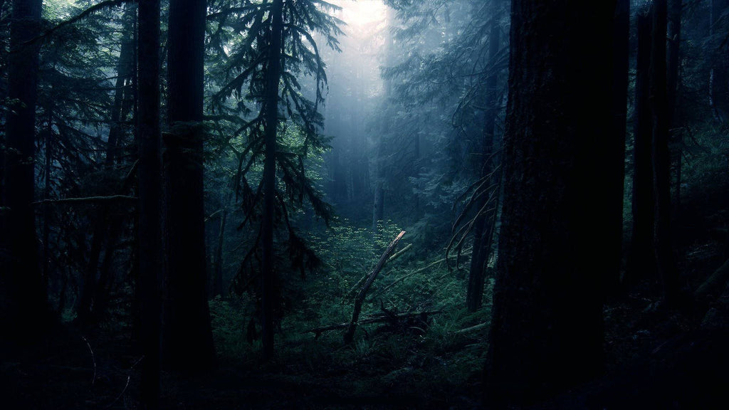 Dark Woods Candle V7692
