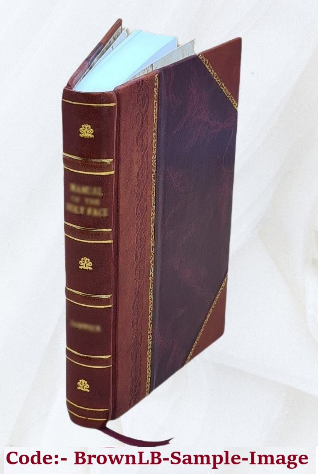 Airborne measurements of a copper smelter plume in Montana B188731