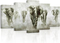 5 Panel Black and White Grey Elephant Canvas Wall Art V720971