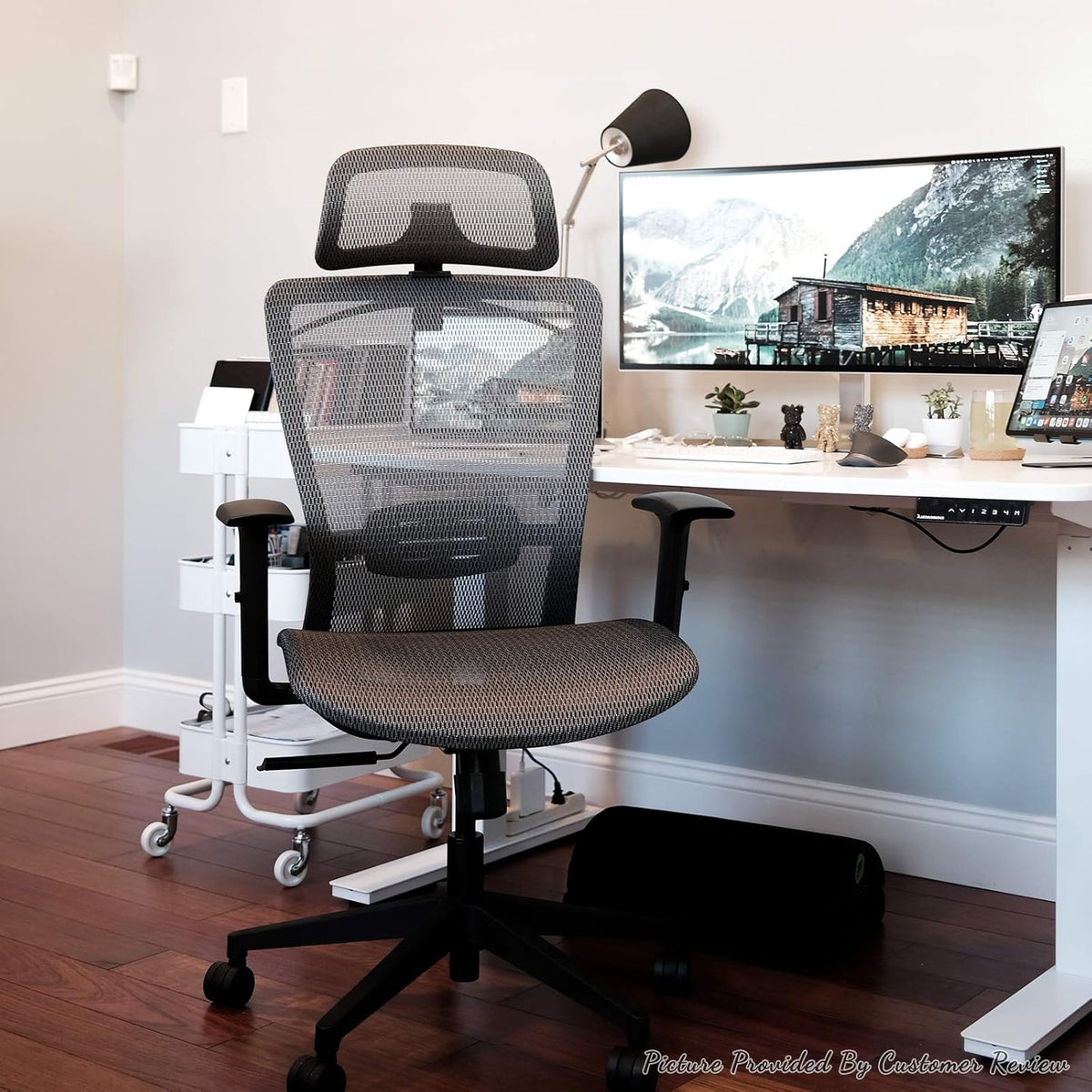 Black Mesh Ergonomic Office Chair N16424