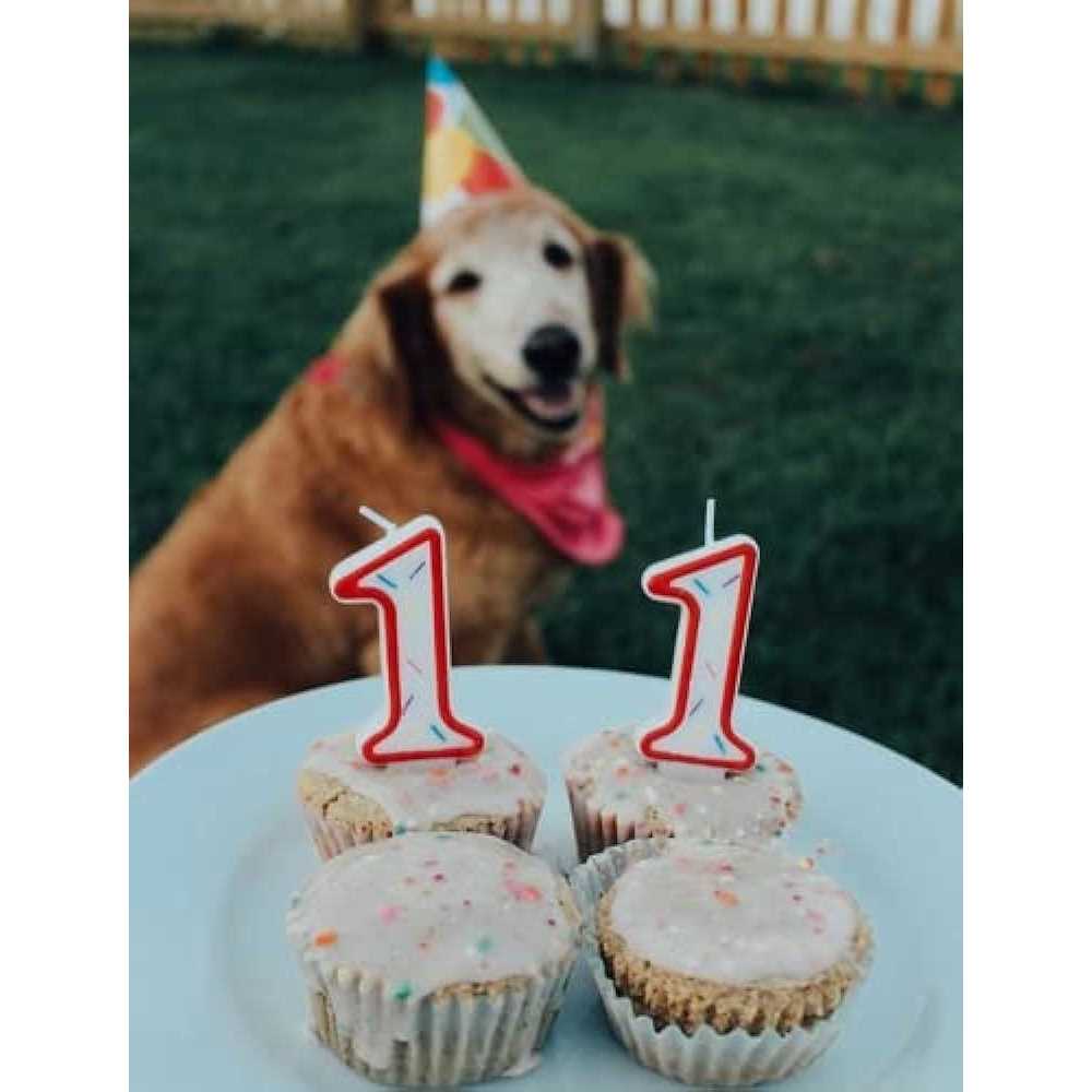 Vanilla Birthday Cake Mix F429017