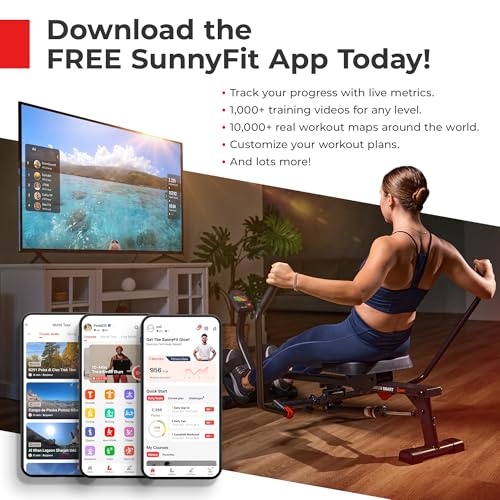 2-in-1 Stepper with Resistance Bands T101