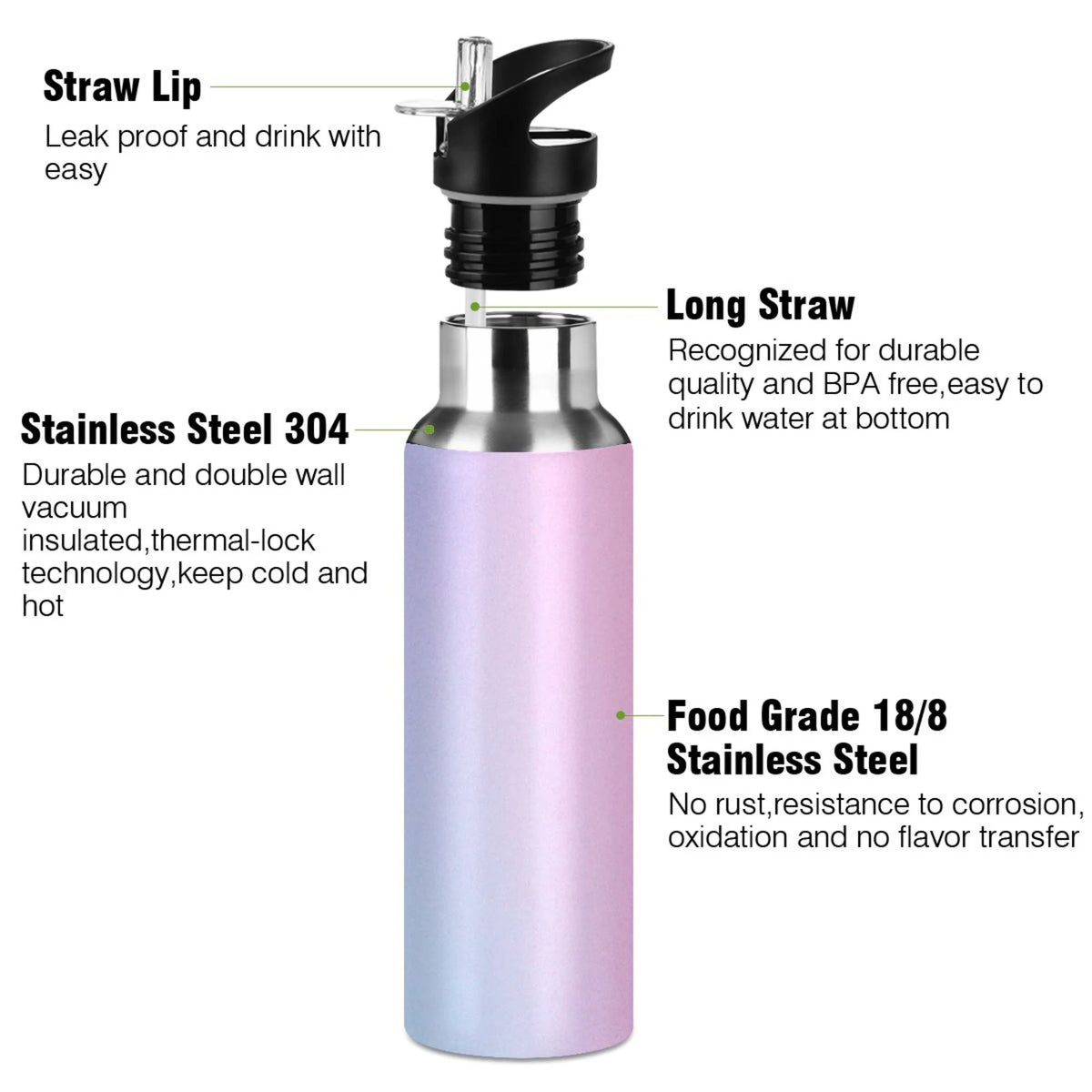 Stainless Steel Vacuum Insulated Water Bottle with Straw Lid 20 OZ Z794