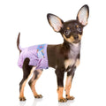 Disposable Female Dog Diapers with Adjustable Elastic Waistline M556232