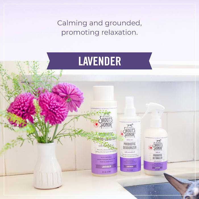 Probiotic Deodorizer Z7147