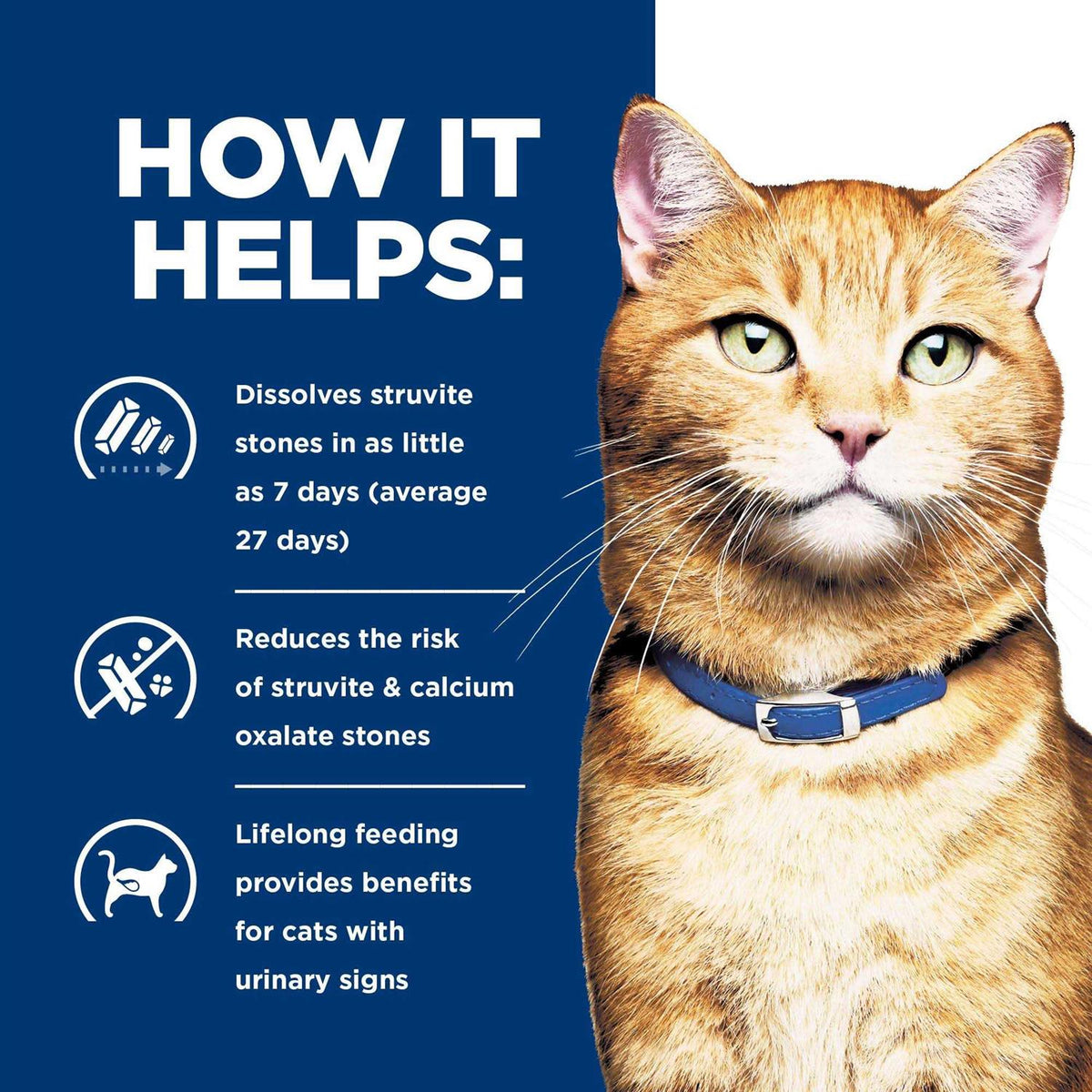 Urinary Care Dry Cat Food P8196