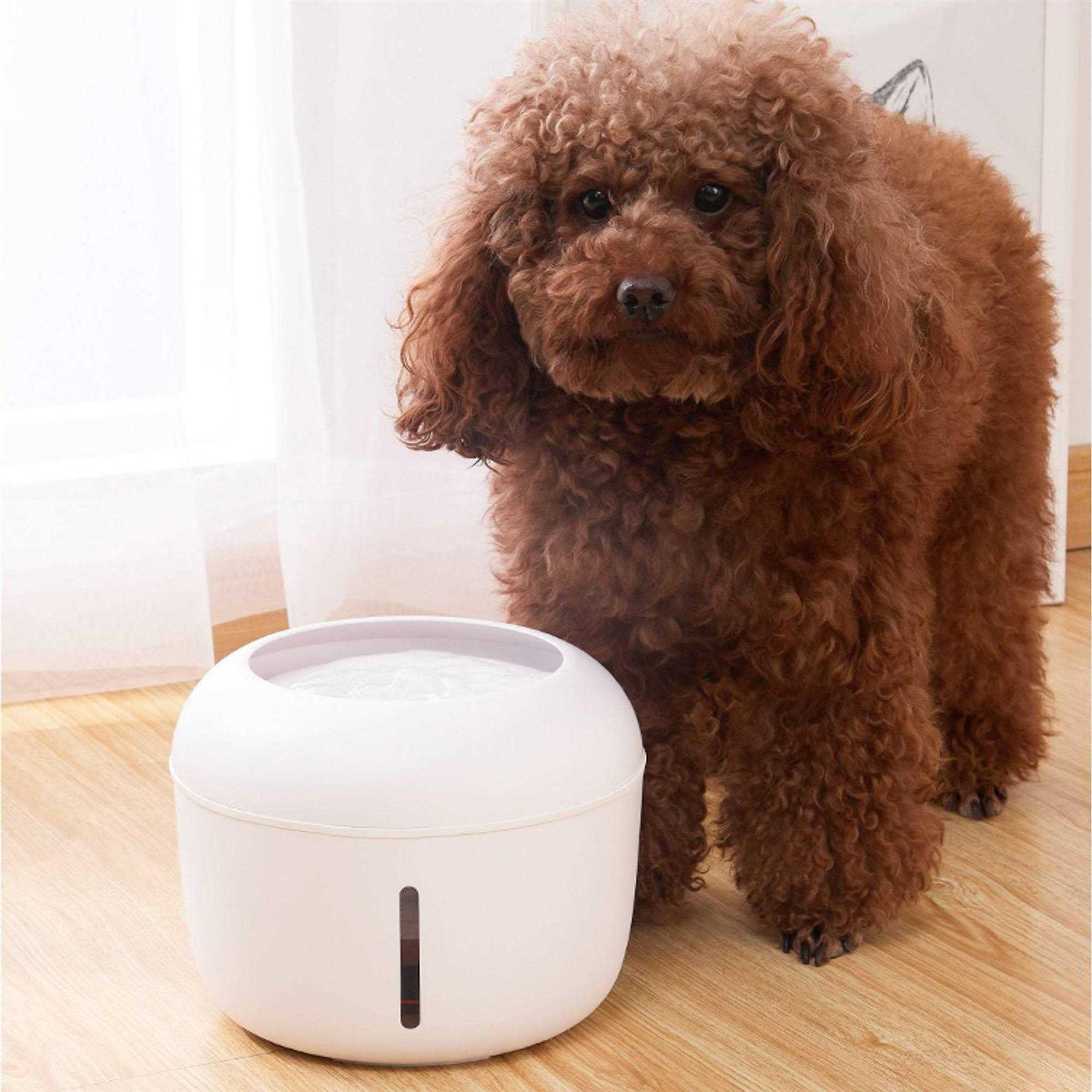 Filtered Dog and Cat Fountain Waterer H4812