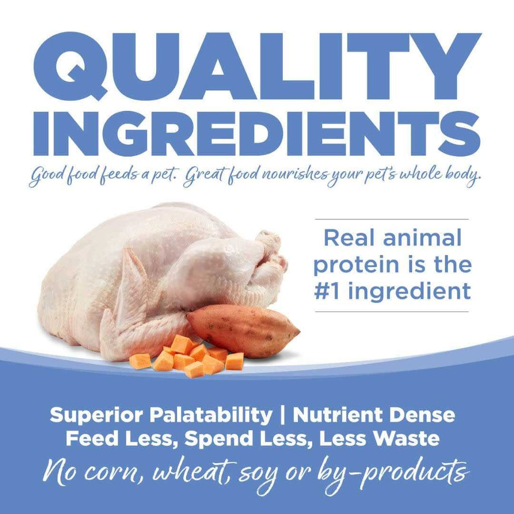 Grain Free Turkey & Sweet Potato Dog Food J940
