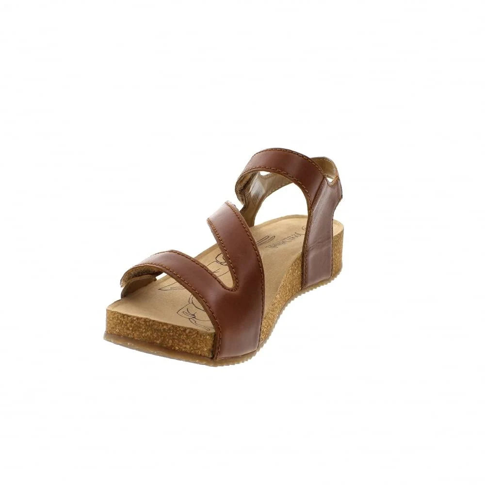 Camel Tonga 25 Shoes O5756