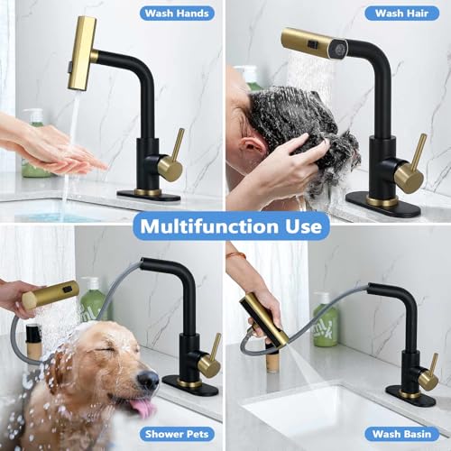Brushed Gold Single Handle Pull Down Bathroom Faucet R4559