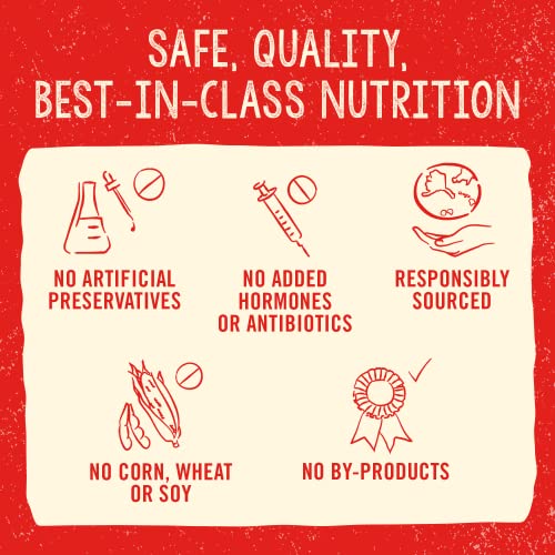 Freeze Dried Raw Super Beef Meal Mixer Dog Food Topper – 3.5 oz Bag K328250