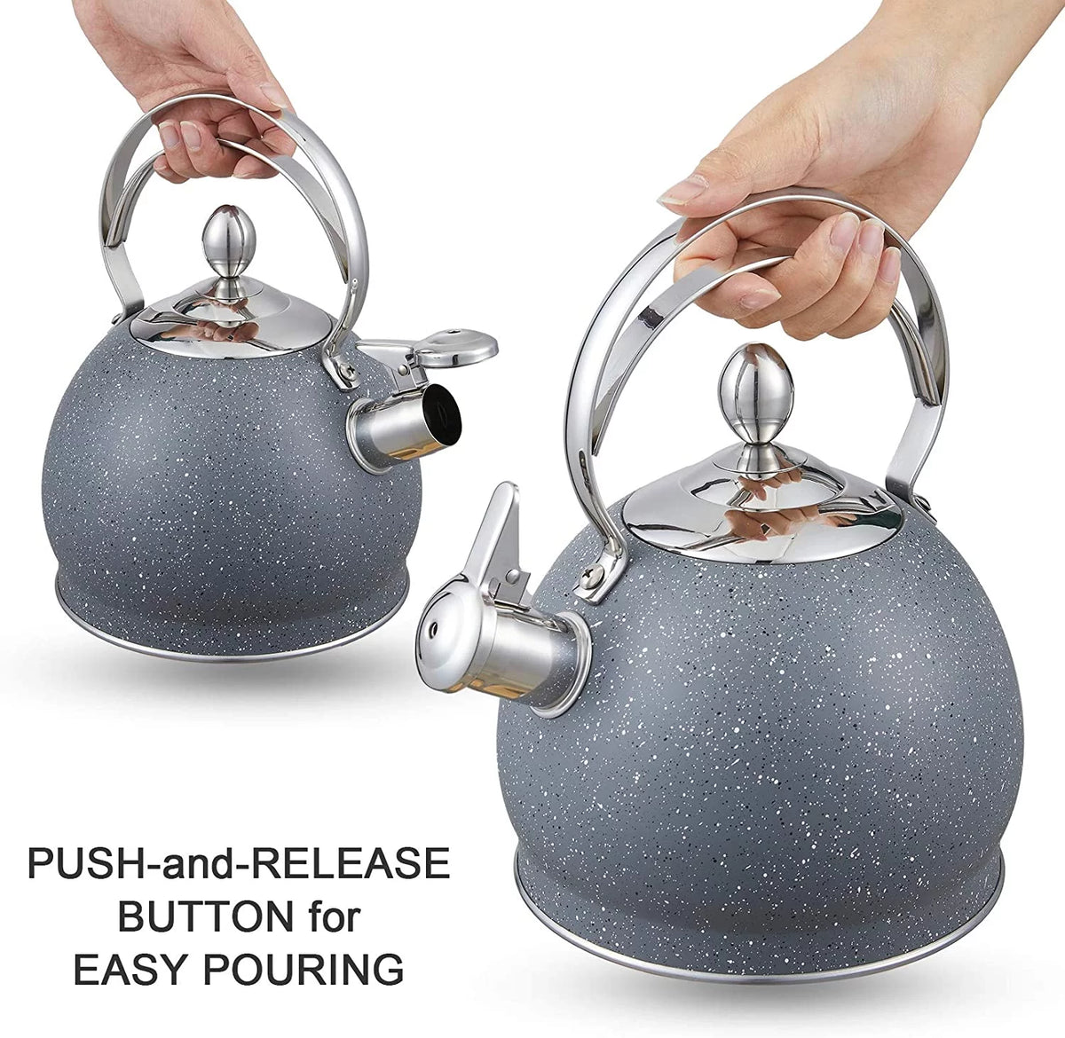 2.5 Qt Stainless Steel Whistling Tea Kettle R1686