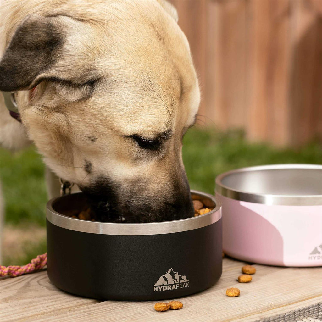 Non Slip Stainless Steel Dog Bowl R6545