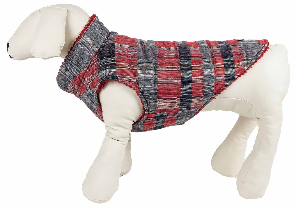 Insulated Dog Coat Jacket Y1271