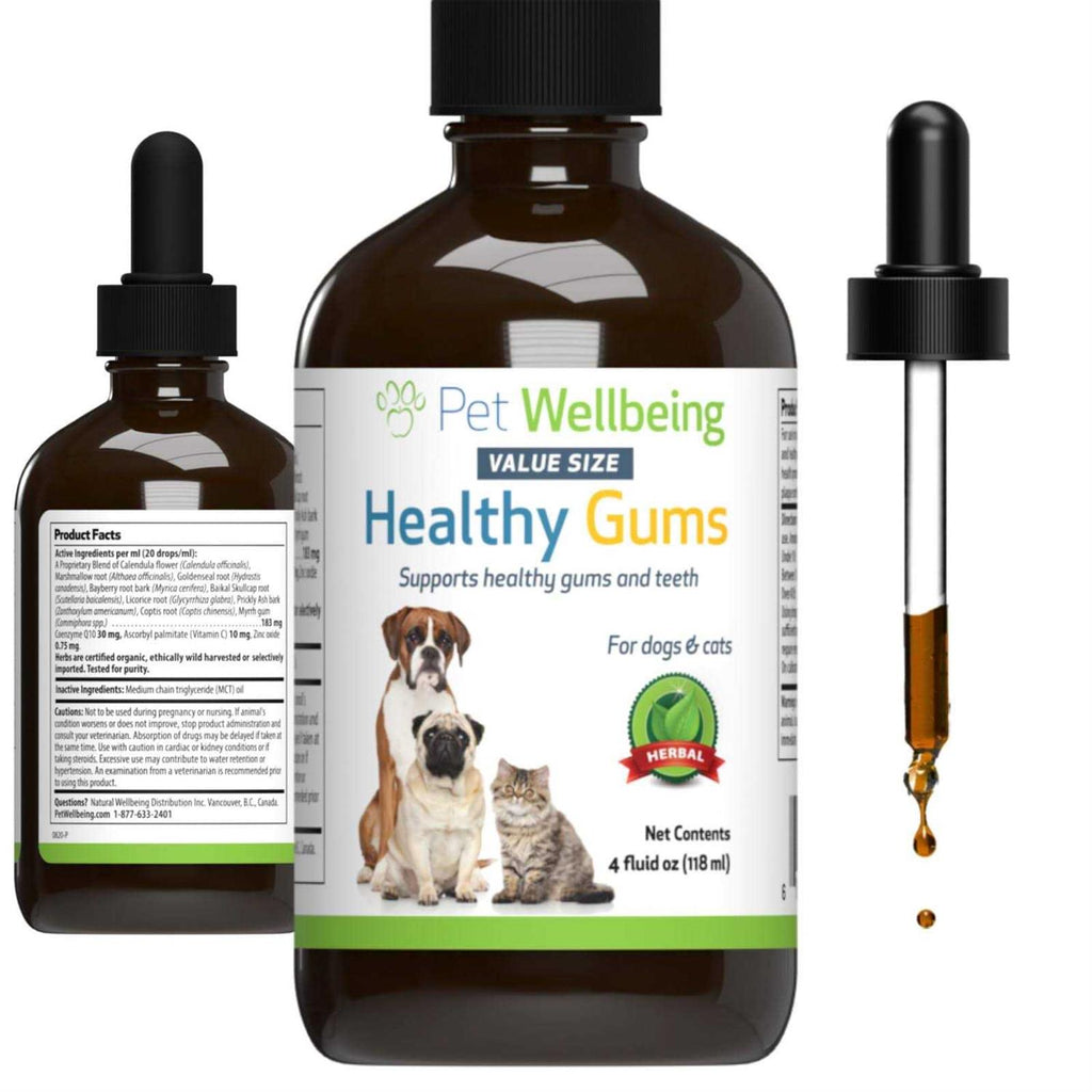 Healthy Gums for Feline Periodontal Health F9367